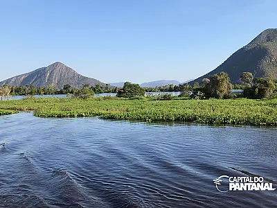 Conforme anunciado, governo de MS suspende licenças de supressão de vegetação nativa no Pantanal