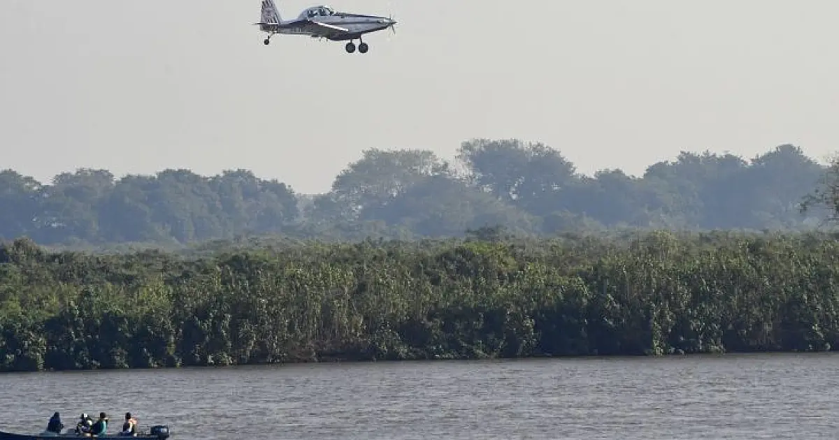 Justiça extingue ação contra uso de agrotóxico no Pantanal; MPF vai recorrer