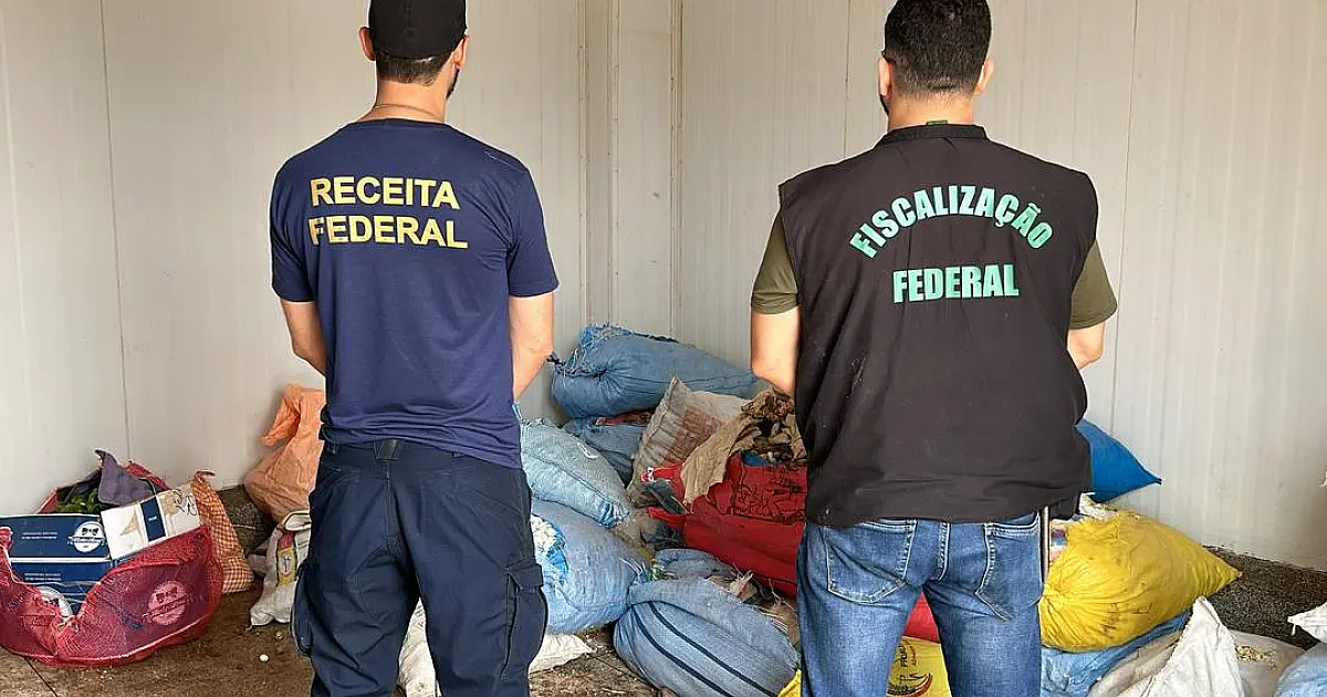 Fiscalização apreende cerca de 2t de mercadorias irregulares e 19 fetos de lhama
