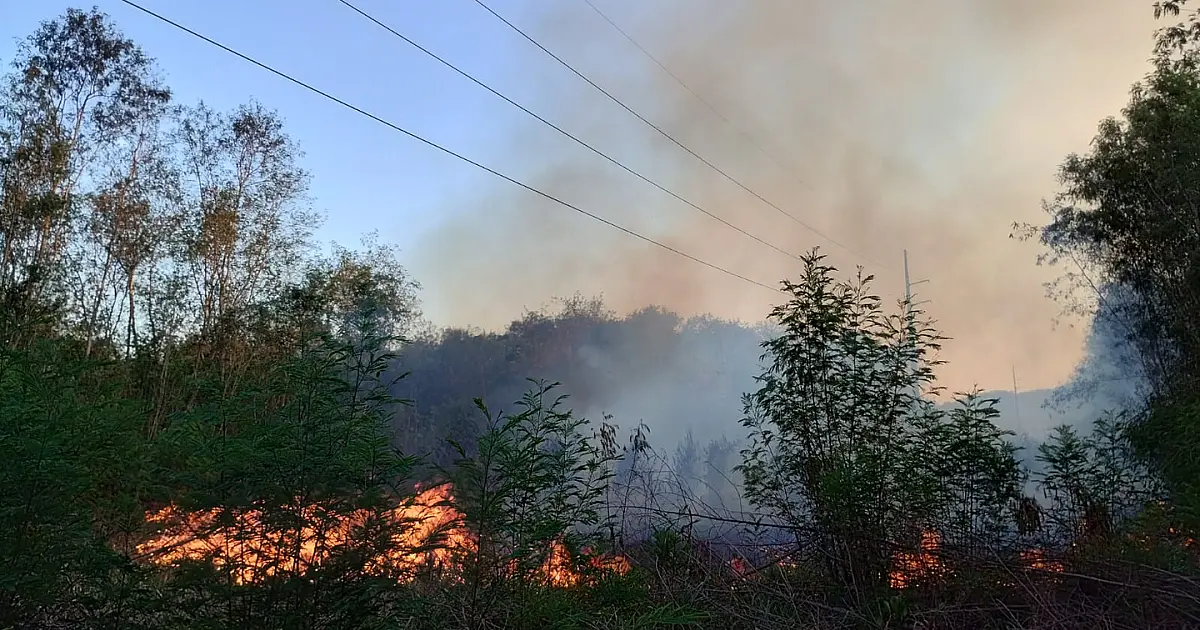 Incêndios na região urbana marcam plantão dos Bombeiros
