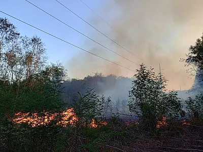 Incêndios na região urbana marcam plantão dos Bombeiros