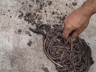 PMA autua campo-grandense em R$ 766 mil por captura ilegal de iscas