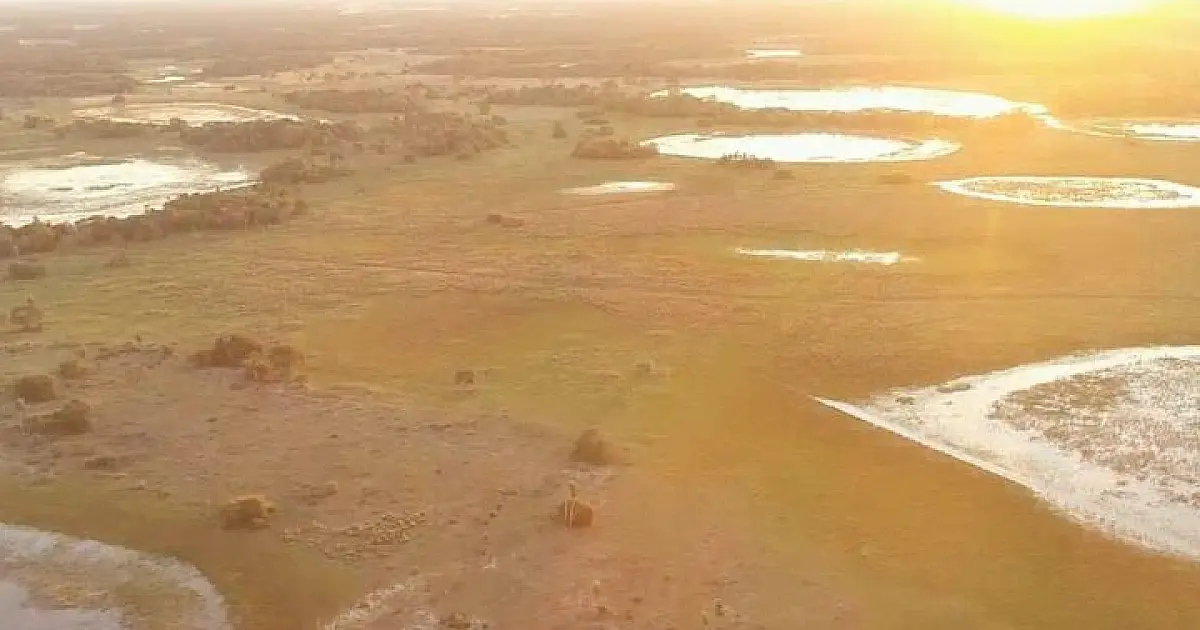 Proprietários de imóveis no Pantanal são convocados para adequação à nova lei