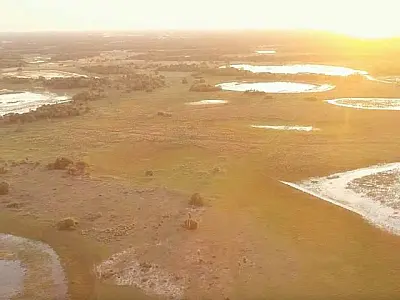 Proprietários de imóveis no Pantanal são convocados para adequação à nova lei