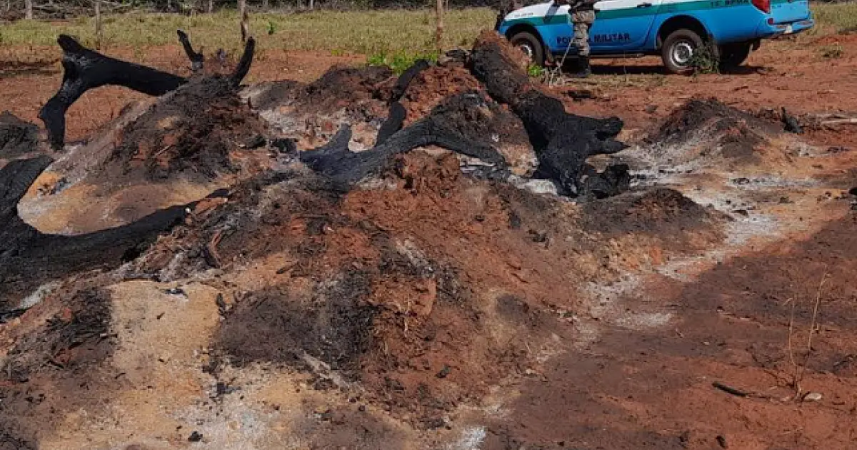 Proprietário rural é multado em R$ 9 mil por incêndio em pastagem