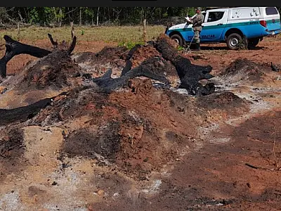 Proprietário rural é multado em R$ 9 mil por incêndio em pastagem