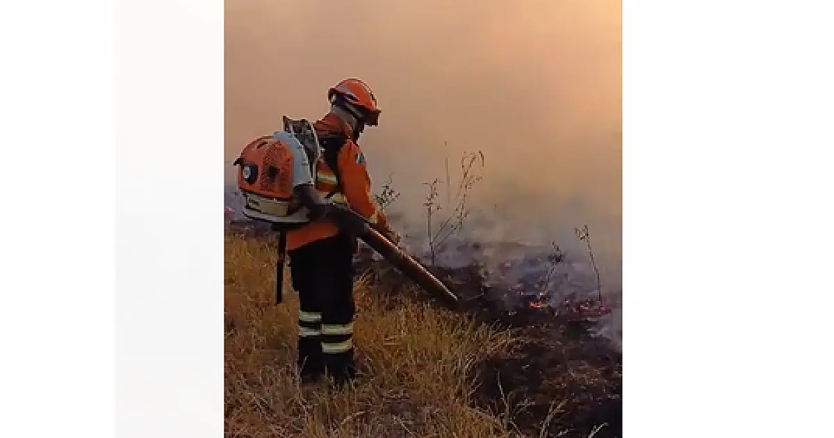 Incêndios atingem quatro regiões do Pantanal