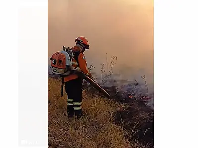 Incêndios atingem quatro regiões do Pantanal