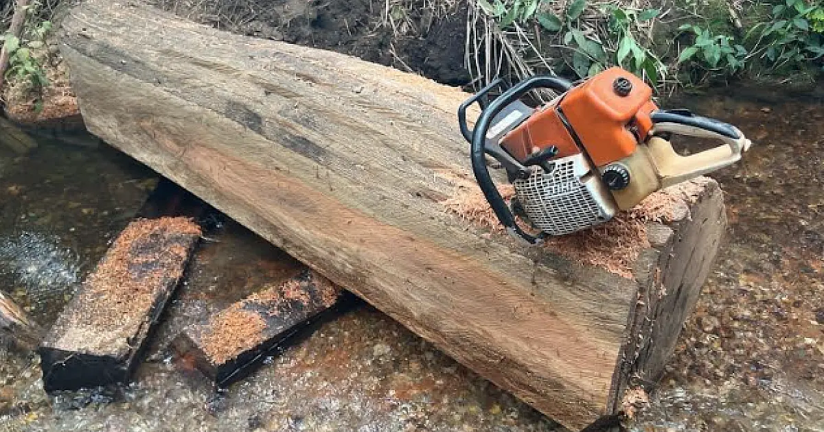 Homem é multado em R$ 6 mil por exploração de madeira em área protegida por Lei