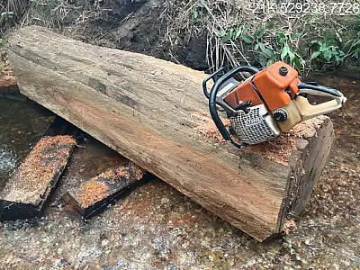 Homem é multado em R$ 6 mil por exploração de madeira em área protegida por Lei