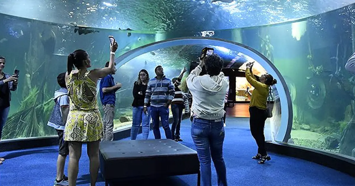 Bioparque Pantanal ultrapassa mil visitantes em dois dias de funcionamento