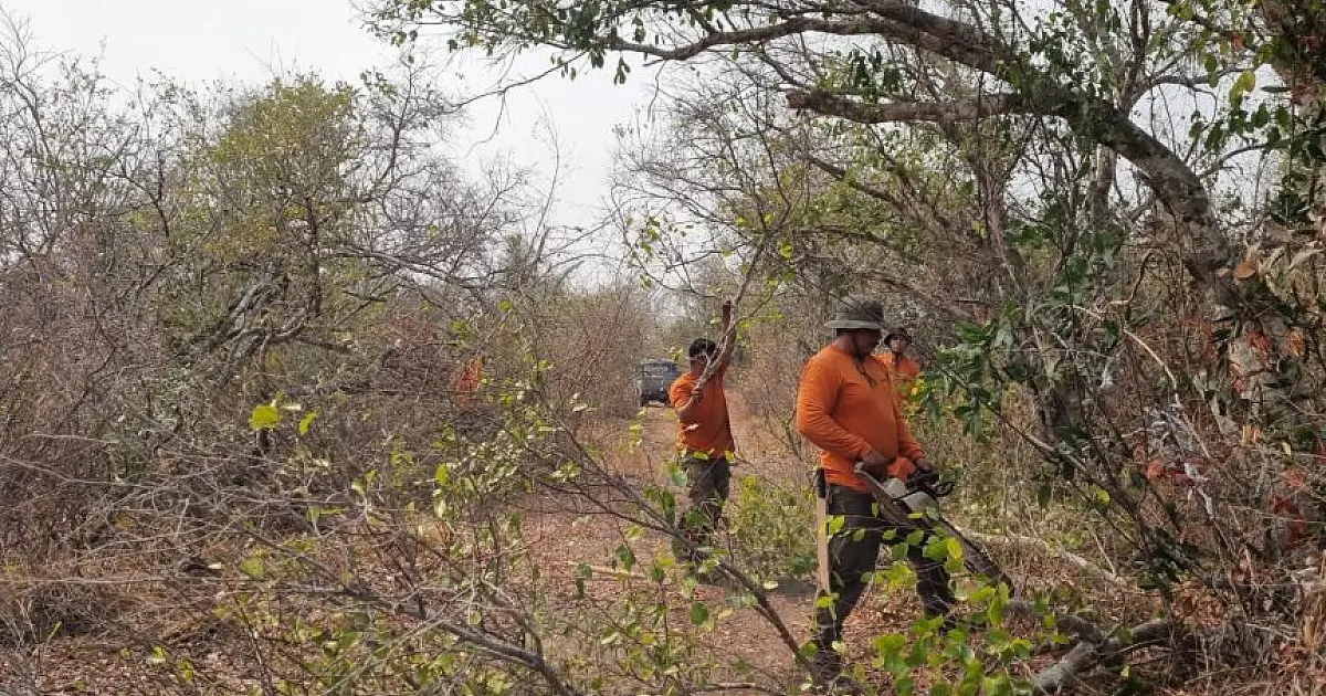 Ação conjunta combate fogo na fronteira com a Bolívia
