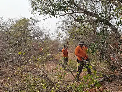 Ação conjunta combate fogo na fronteira com a Bolívia