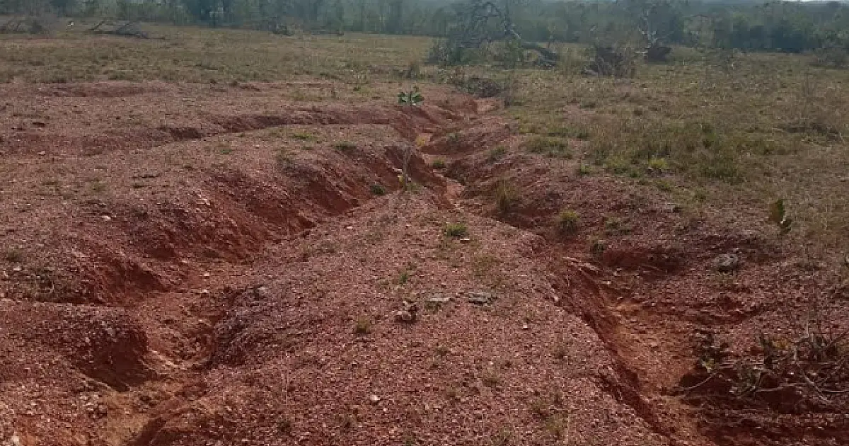 Proprietário rural é multado em quase R$ 5 mil por degradação do solo