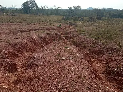 Proprietário rural é multado em quase R$ 5 mil por degradação do solo
