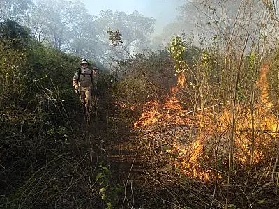 Novos focos de calor deslocam Bombeiros para a região do Paiaguás