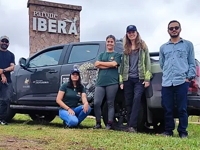 Nascimento de filhote de onça-pintada na Argentina é ensinamento para sustentabilidade