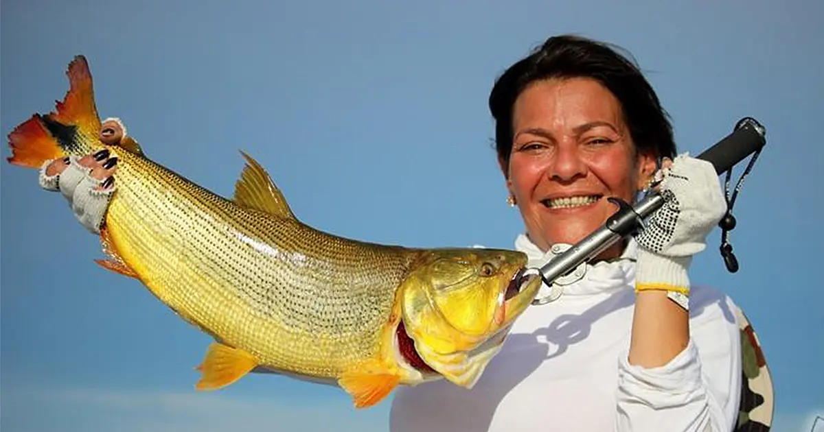 Operadores de pesca esportiva do Pantanal propõem transporte zero de pescado ao PPA