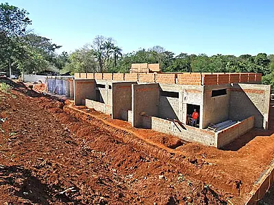 MS terá primeiro hospital exclusivo para animais silvestres da América Latina