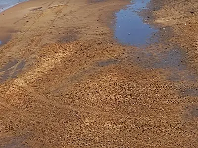 Jipeiros multados em R$ 210 mil degradavam áreas protegidas do Pantanal