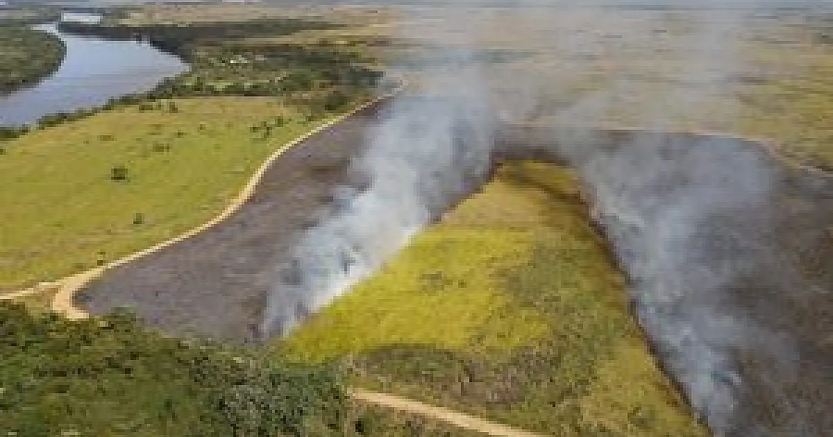 Decreto de emergência ambiental prevê queima feita pelo próprio Estado