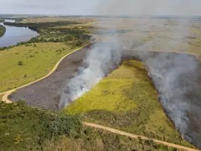 Decreto de emergência ambiental prevê queima feita pelo próprio Estado