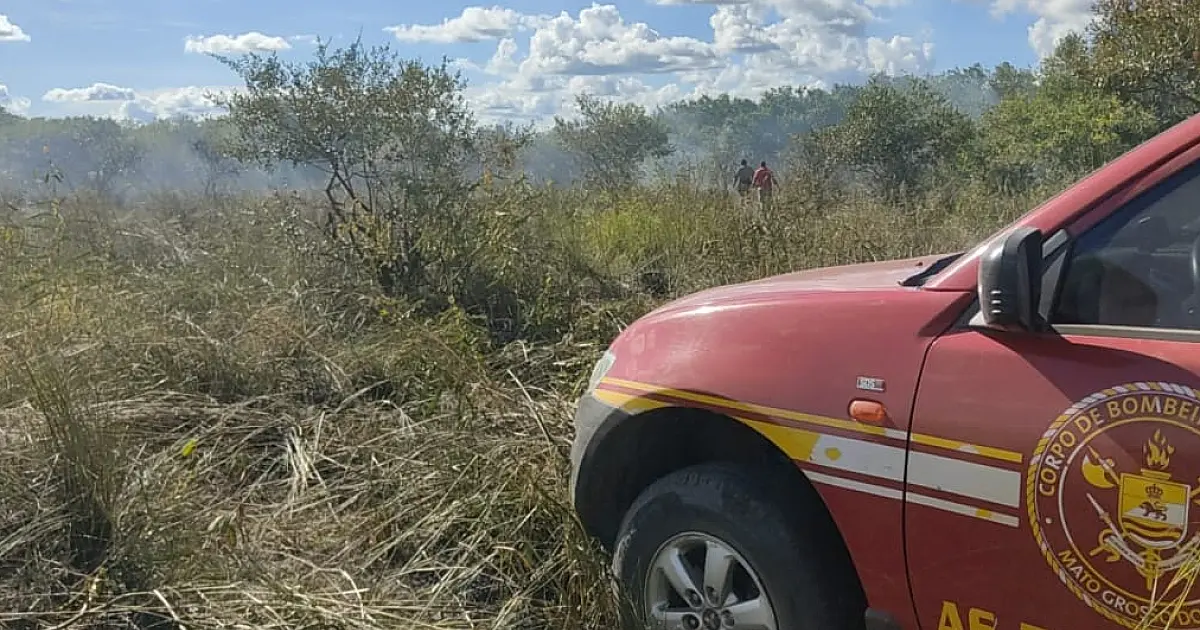 Trabalhador rural é preso por incendiar área de mata em fazenda