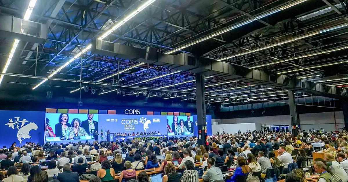 COP15 aprova maior proteção de bagres gigantes da Amazônia e ariranhas