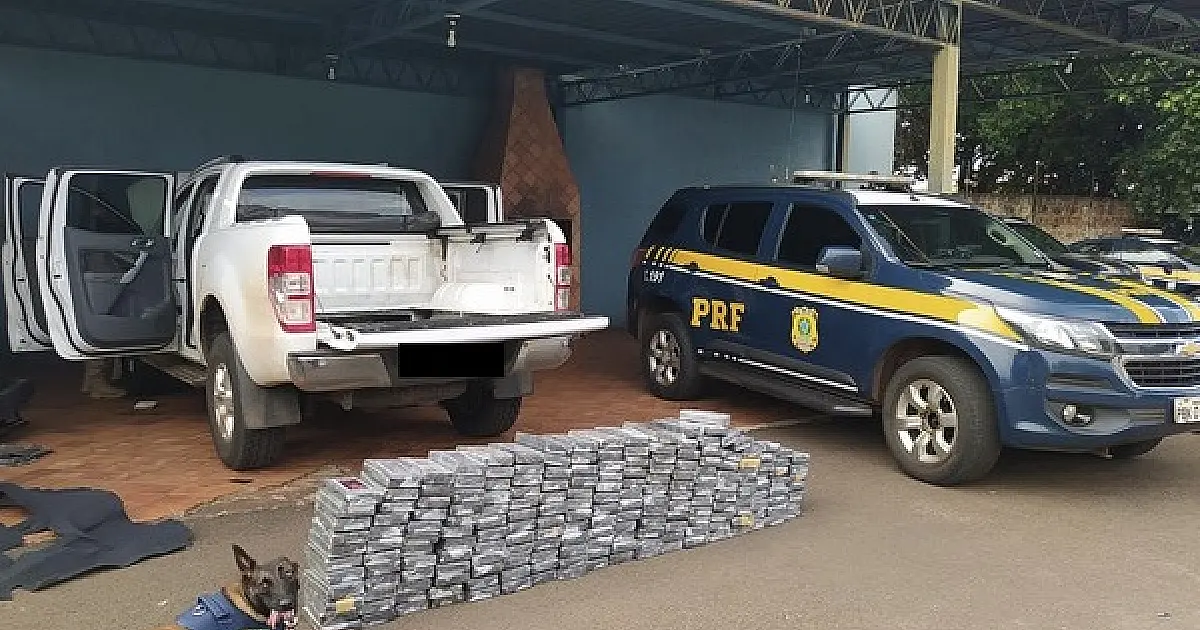 Apreensão de 300 quilos de cocaína na Capital dá prejuízo de R$ 36 mi para o crime organizado