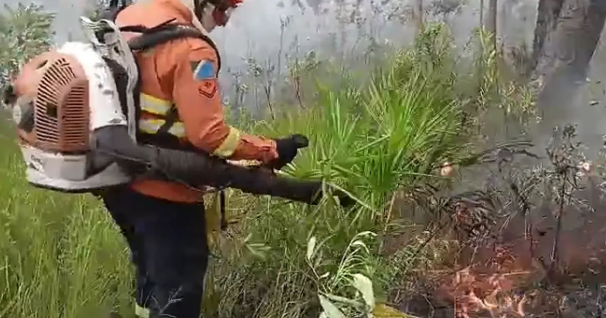 Bombeiros combatem incêndio florestal em fazendas no Carandazal