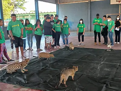 Palestras da PMA atinge mais de 400 estudantes nas atividades do mês do Meio Ambiente