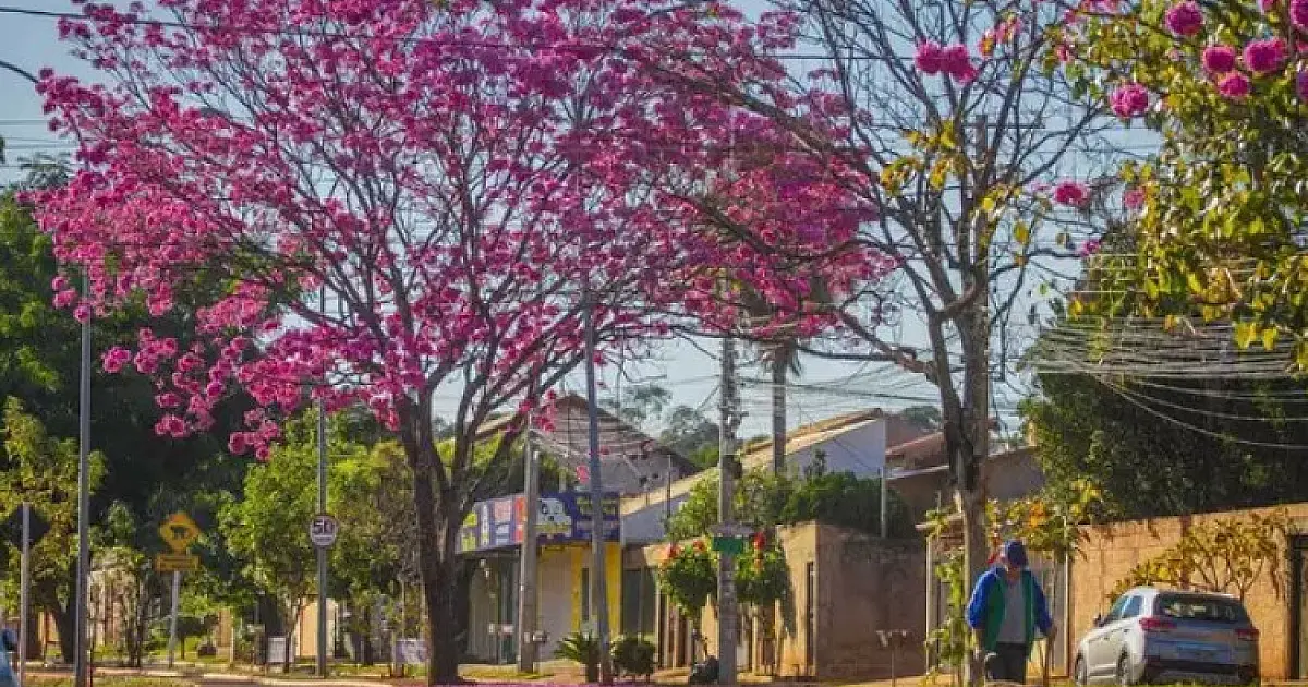 Meteorologia prevê chuva e altas temperaturas para a Primavera em MS