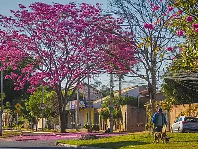 Meteorologia prevê chuva e altas temperaturas para a Primavera em MS