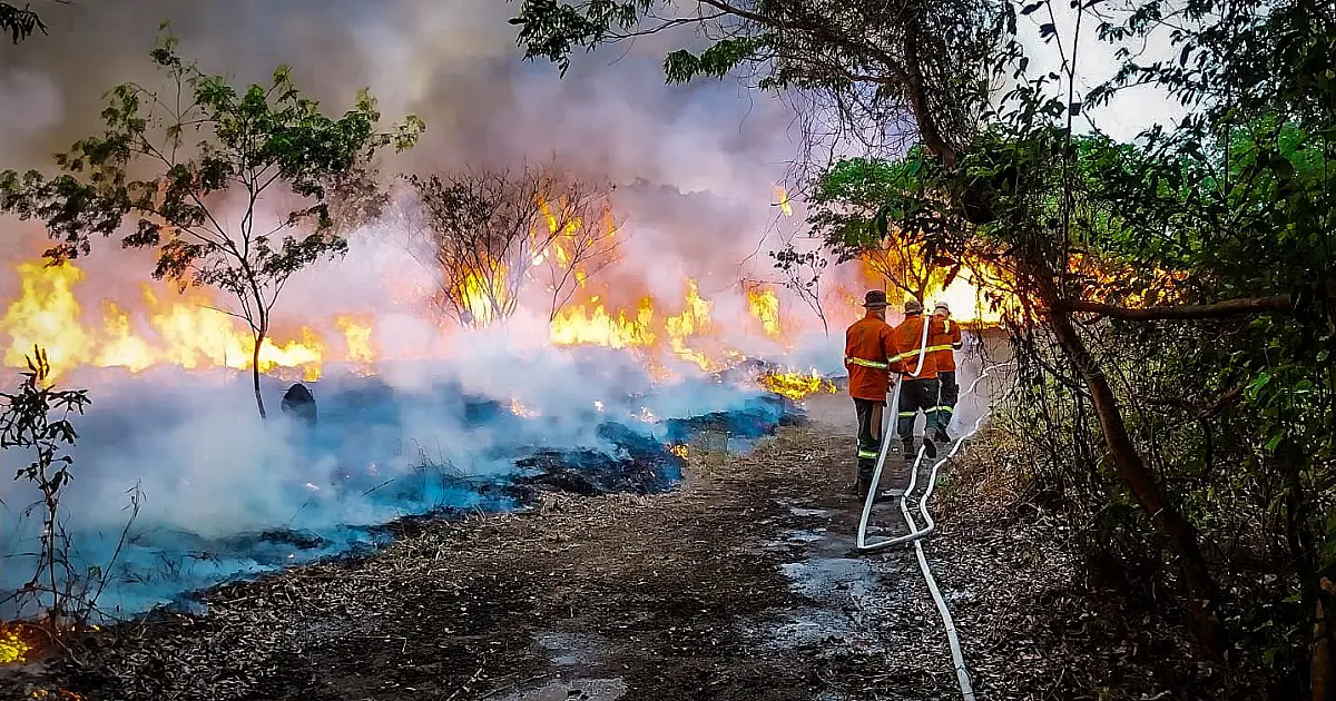 Incêndios entre MS e MT geram urgência de saúde nas comunidades ribeirinhas do Pantanal
