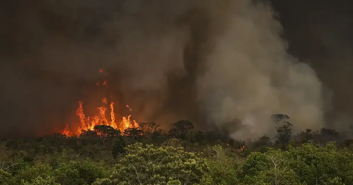 Brasil tem 22,38 milhões de hectares atingidos pelo fogo em nove meses