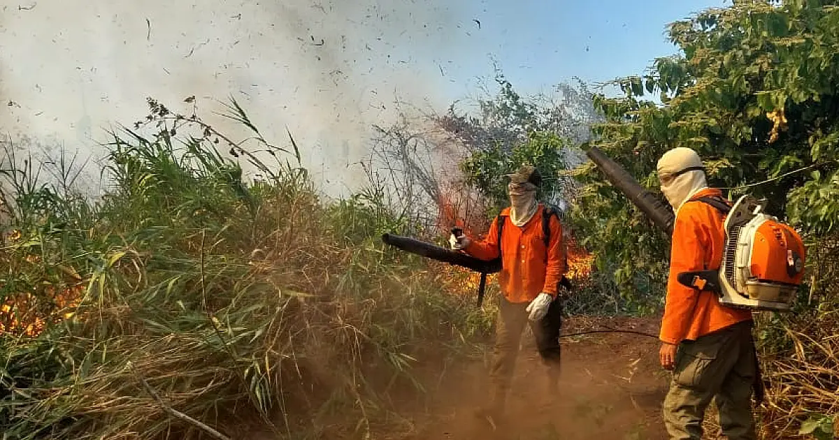Defesa Civil de MS irá receber R$ 9,2 milhões para combate aos incêndios
