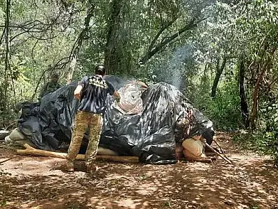 Agência antidrogas localiza laboratório e destrói 6 toneladas de maconha