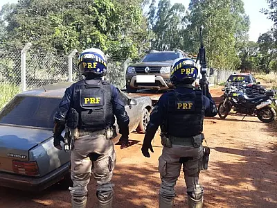 Mais de 2,7 toneladas de maconha e skunk vindas da fronteira são apreendidos pela PRF