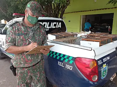 Motorista é autuado em R$ 12 mil por manter cativeiro ilegal de pássaros