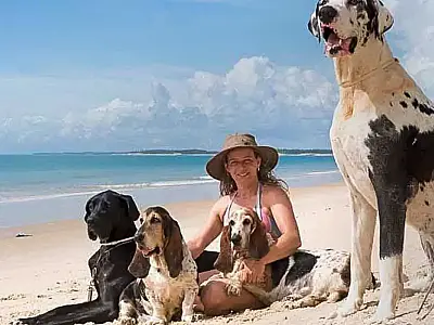 Férias chegam e trazem um dilema: viajar ou não com os pets?
