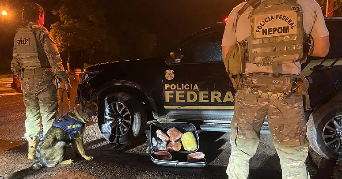 Passageiro que seguia de Corumbá para Capital é preso com 4,3 kg de skunk