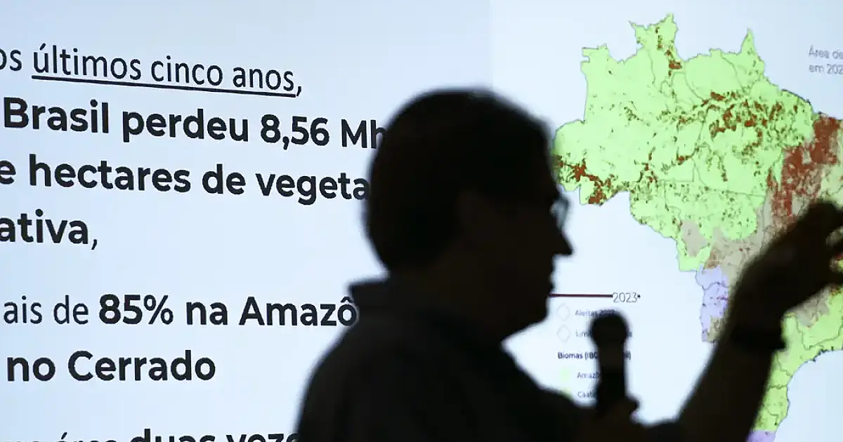 Brasil já perdeu 33% das áreas naturais de seu território