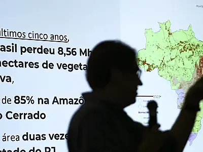 Brasil já perdeu 33% das áreas naturais de seu território