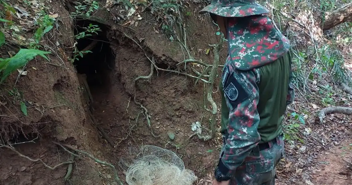 PMA cumpriu 18 prisões em flagrante por crimes ambientais no mês de março