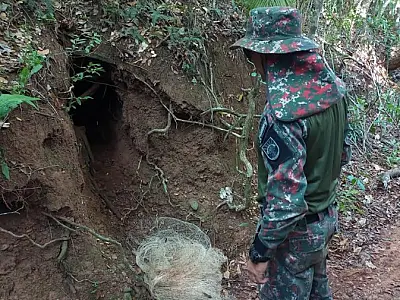 PMA cumpriu 18 prisões em flagrante por crimes ambientais no mês de março