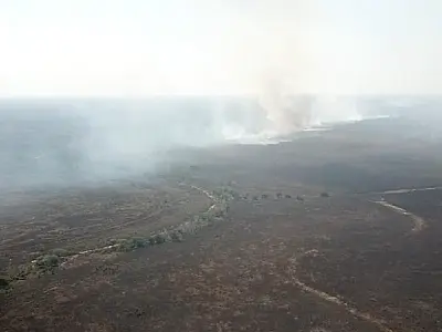 Incêndio vindo da Bolívia se aproxima de Corumbá