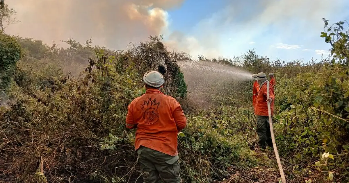 O fogo e o Pantanal por Angelo Rabelo