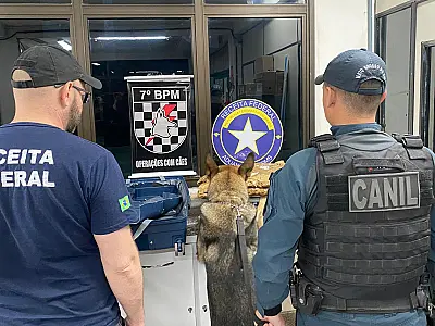 Fiscalização apreende 4,4 kg de Skunk e 100 kg de roupas falsificadas na BR 262