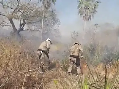 Fogo continua queimando nas regiões do Carandazal e Nhecolândia