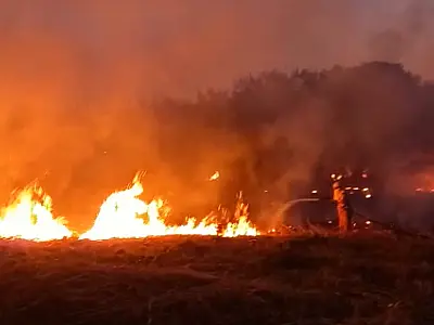 Incêndio destrói 600m² de vegetação no bairro Popular Velha